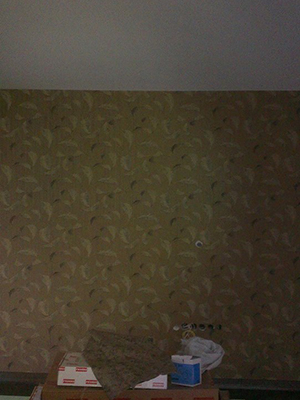 Didem Seke Didem Seke