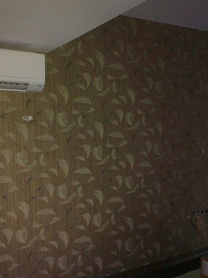 Didem Seke Didem Seke