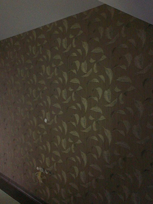 Didem Seke Didem Seke